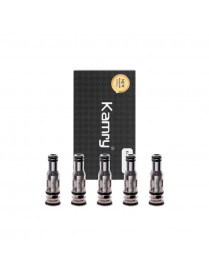 Résistances P6 0.5 Ω (5 pcs) – Kamry