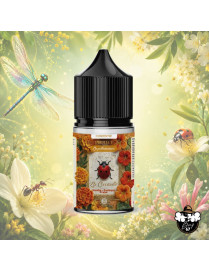 Concentré La Coccinelle Ozone 30ml DIY