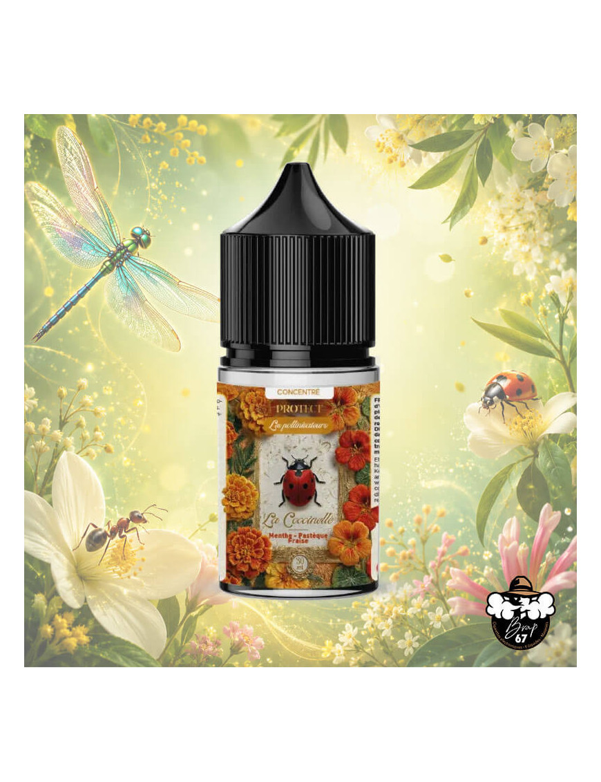 Concentré La Coccinelle Ozone 30ml DIY