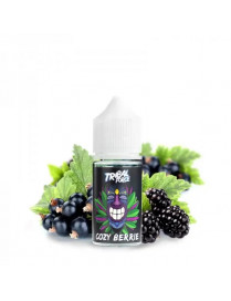Concentré Cozy Berrie 30ml - Arôme Cassis et Mûre par Tribal Force