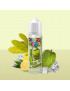 Punky Summer 0mg 50ml - Flavor Hit | E-liquide cactus, citron, corossol et fraîcheur