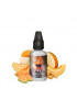 Concentré Explosive Melon 30ml – Hidden Potion – A&L | Arôme melon de Cavaillon