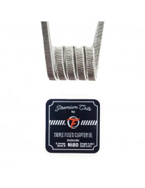 Triple Fused Clapton DL Ni80 0.30Ω New Version (10pcs) – Fumytech