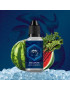Shadow 30ml Wink Made In Vape – Concentré rhubarbe pastèque