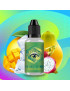 Holiday 30ml Wink Made In Vape – Concentré pitaya papaye mangue frais