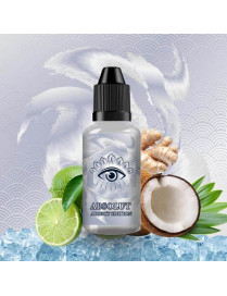 Absolut 30ml Wink Made In Vape – Concentré coco citron vert gingembre