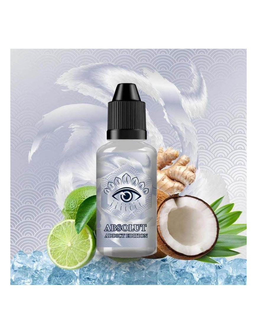 Absolut 30ml Wink Made In Vape – Concentré coco citron vert gingembre