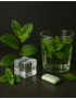 E-Liquids Menthol