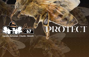 Protect : la marque engagée qui met les abeilles au cœur de la vape